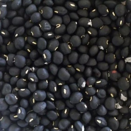 Black Crowder Cowpeas BN120-50