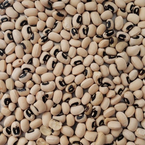 California Blackeye No. 46 Cowpeas BN122-50