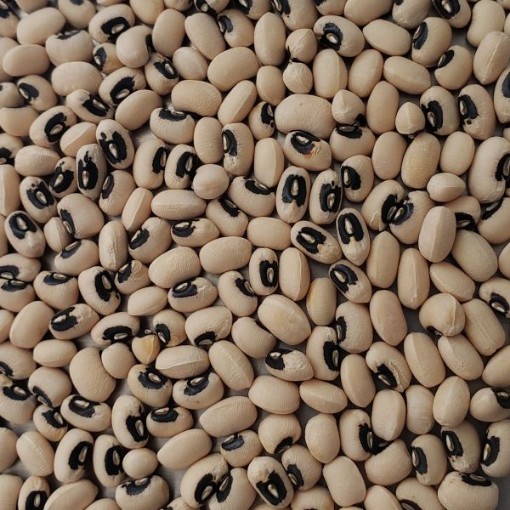 California Blackeye No 5 Cowpeas BN123-50