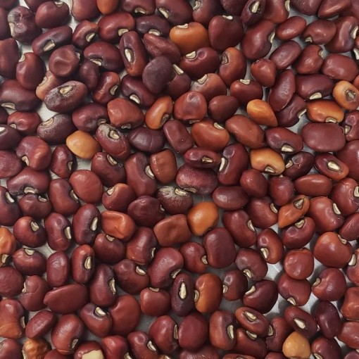 Dixie Lee Cowpeas BN125-50