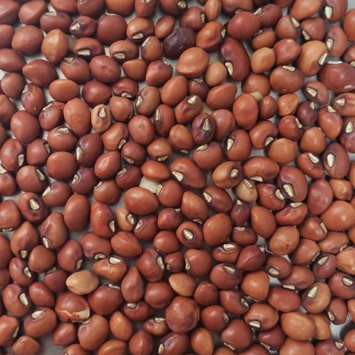 Knuckle Purple Hull Cowpeas BN128-50