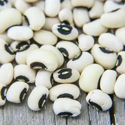 Queen Anne Blackeye Cowpeas BN135-50