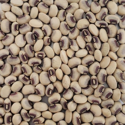 Top Pick Pinkeye Cowpeas BN140-50