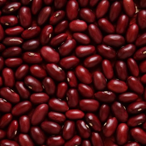 Dark Red Kidney Beans BN146-50
