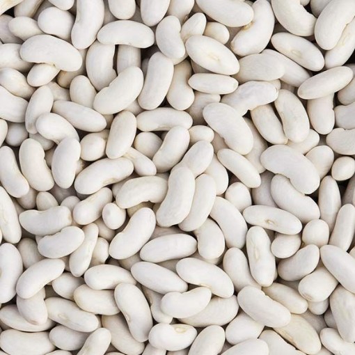 Cannellini Beans BN148-50