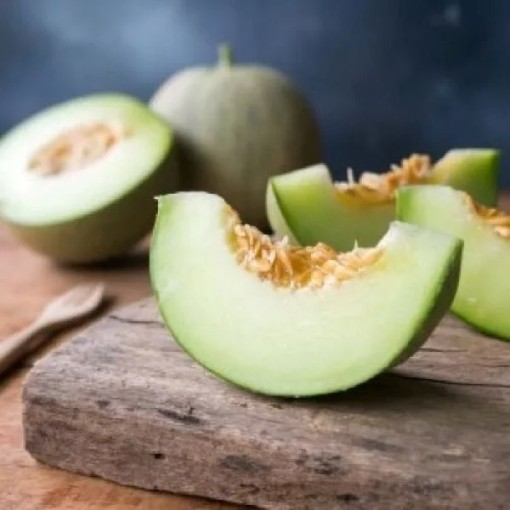 Tam Dew Improved Melons CA44-20