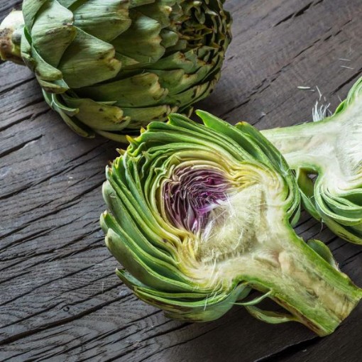Green Globe Improved Artichokes AR1-25
