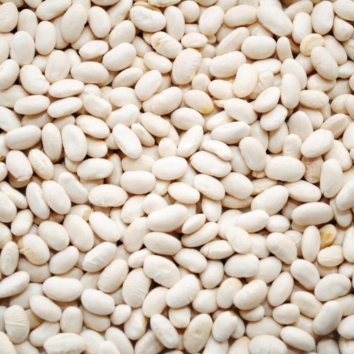 Great Northern Beans BN147-50