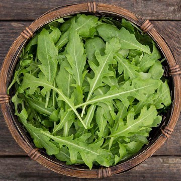 Sylvetta Arugula Seeds