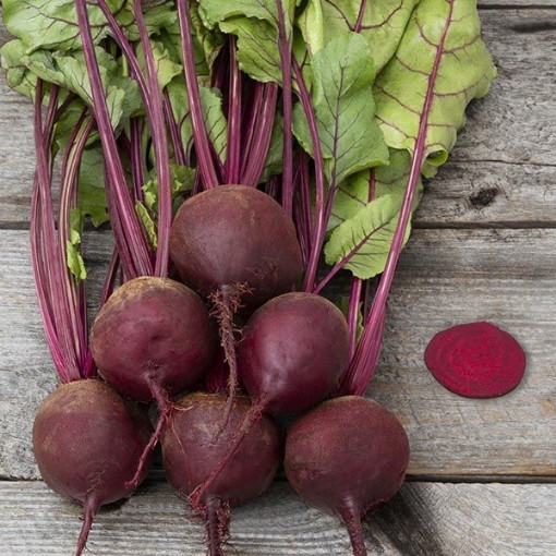 Early Wonder Beets BT4-100