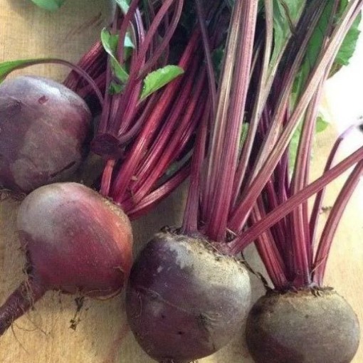 Green Top Bunching Beets BT27-100