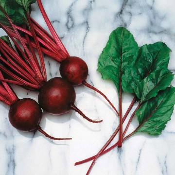 Kestral Beet Seeds
