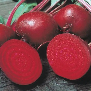 Perfected Detroit Dark Red Beet Seeds
