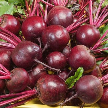 Ruby Queen Beet Seeds