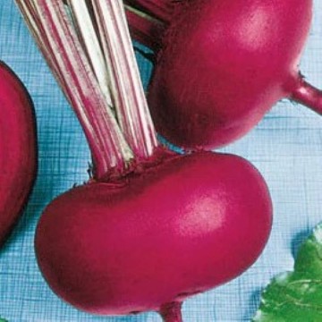 Piatta D'Egitto Beet Seeds