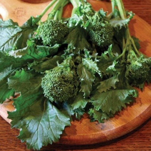 Sorrento Broccoli Raab BR21-250