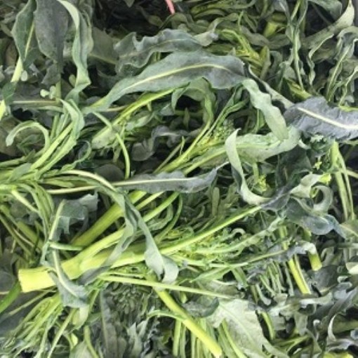 Spigariello Broccoli BR25-200