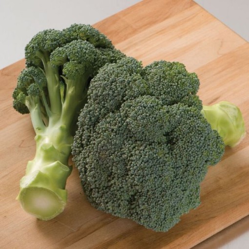 Imperial Broccoli BR28-50