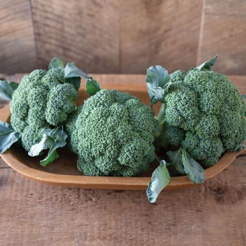Emerald Crown Broccoli Seeds