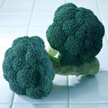 Avenger Broccoli Seeds