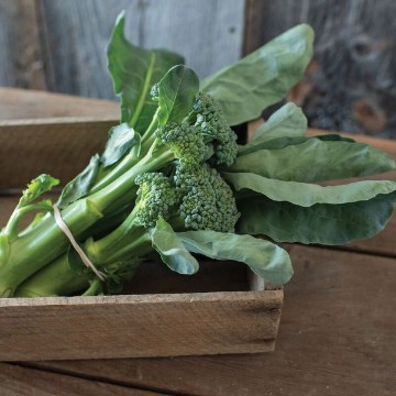 Sweet Bunch Broccoli Seeds