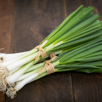 Evergreen White Bunching Onion Seeds
