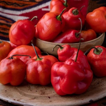 Rocoto Red Pepper Seeds