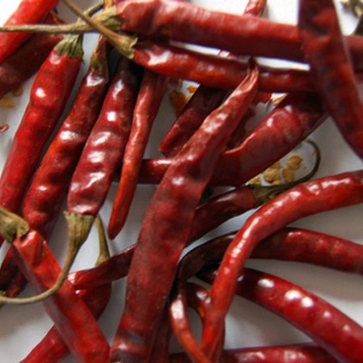 Bird's Beak Peppers HP2494-20