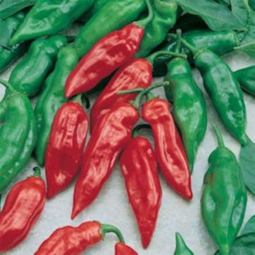 Habanero Mayan Red Pepper Seeds