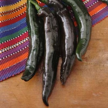 Holy Mole Pepper Seeds