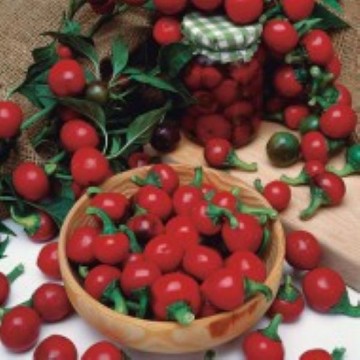 Piccante Calabrese Pepper Seeds