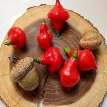 Spinning Top Pepper Seeds