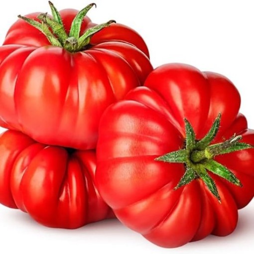 Floradel Tomato TM436-20