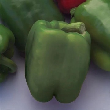 Better Belle Pepper Seeds