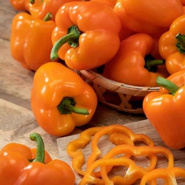 Orange King Pepper Seeds