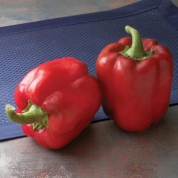 Red Bull Pepper Seeds