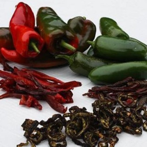Chipotle Pepper Seeds HP2563--20