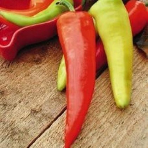 Dante's Peppers HP2564-20