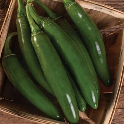Serrano Super Peppers HP2576-10