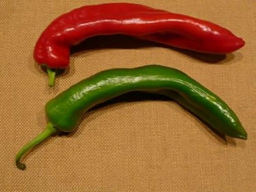 Zesty 7 Peppers HP2577-20