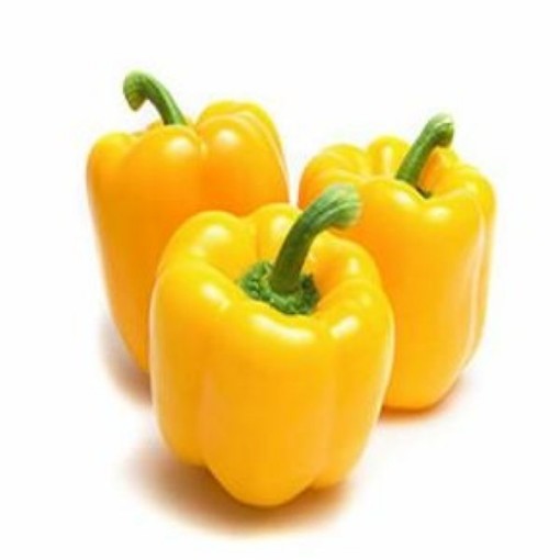 Bella Yella Peppers SP402-10