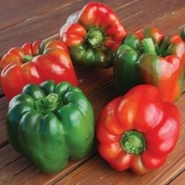 Green Bountiful Pepper Seeds