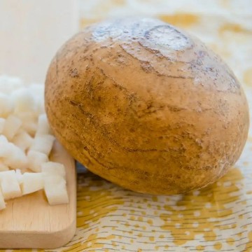 Jicama Seeds