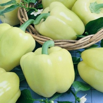 Diamond White Pepper Seeds