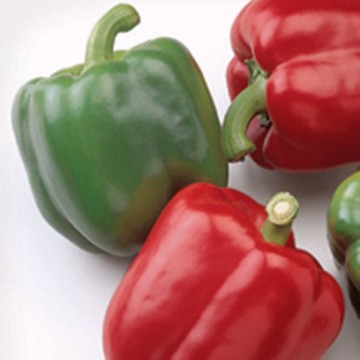 Baron Pepper Seeds