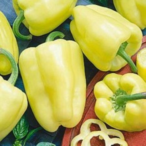 White Zinfandel Peppers SP416-20