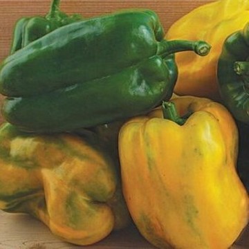 Yellow Bountiful Pepper Seeds