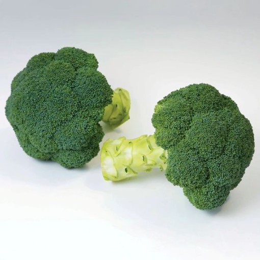 Appalachian Broccoli BR3-100