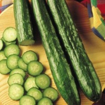 Sweeter Yet Cucumber Seeds