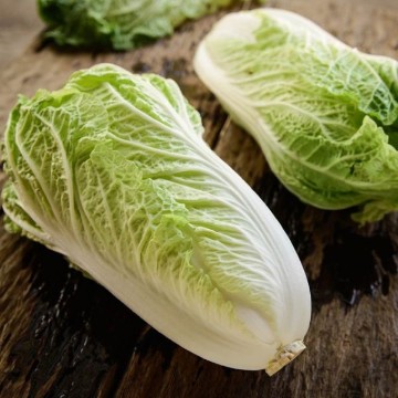Michihli Chinese Cabbage Seeds